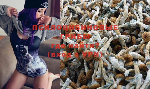 не бодяженный Абдулино