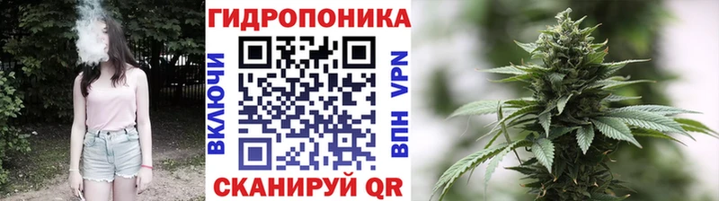где можно купить   Ростов-на-Дону  гидра ССЫЛКА  Марихуана тримм 